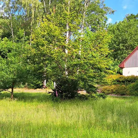 Dom Tole シャレー *