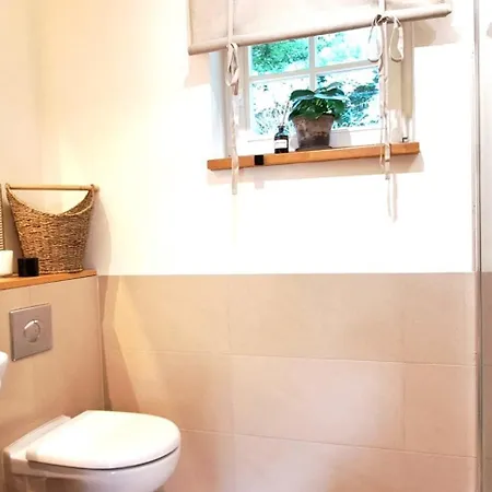 シャレー Dom Tole *