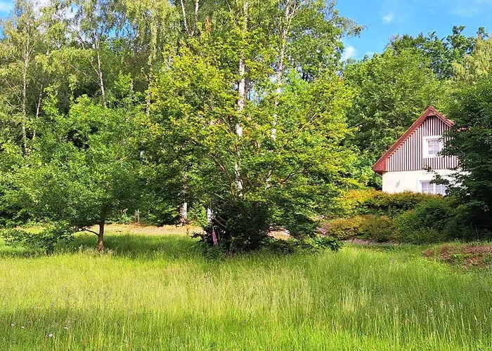 Dom Tole Horská chata *