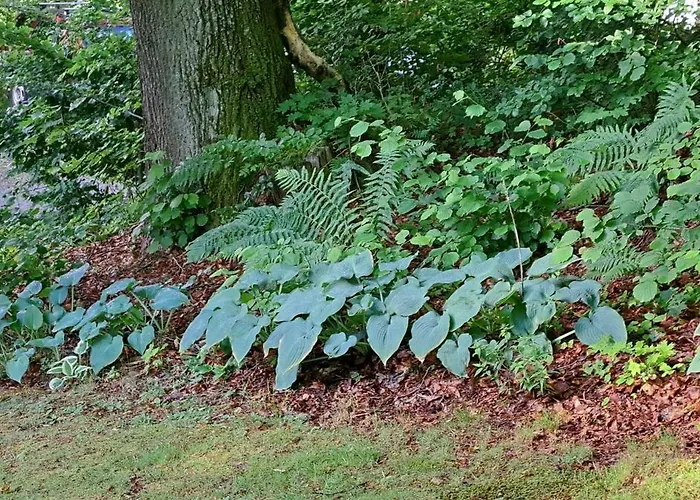 Dom Tole Horská chata